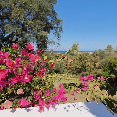 Vista Mare بيت للعطل *